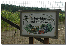 Bainbridge Island