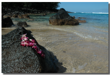 Hawaii Image 14