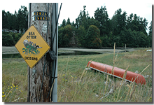Bainbridge Island