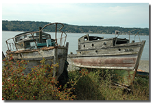 Bainbridge Island